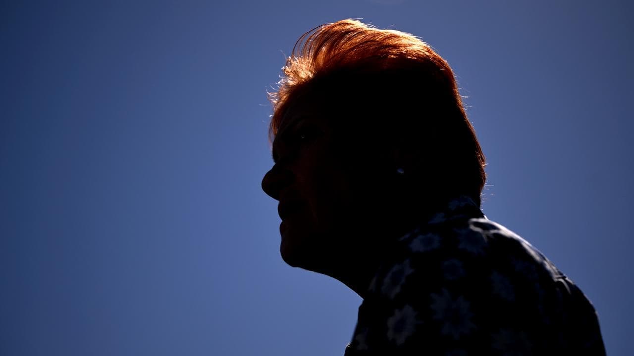 'No time for him': Hanson gives her Liberal leader pick