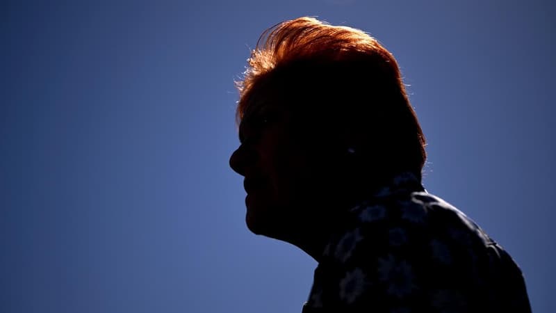 'No time for him': Hanson gives her Liberal leader pick