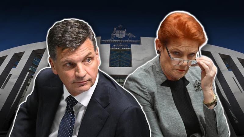 Coalition baulks at One Nation-style migrant nation ban