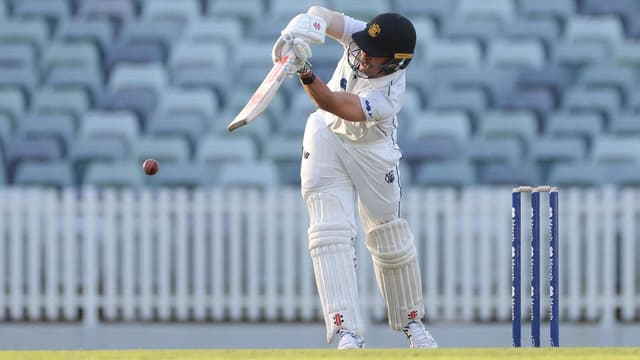 Fanning ditches crutches to guide WA to Shield win