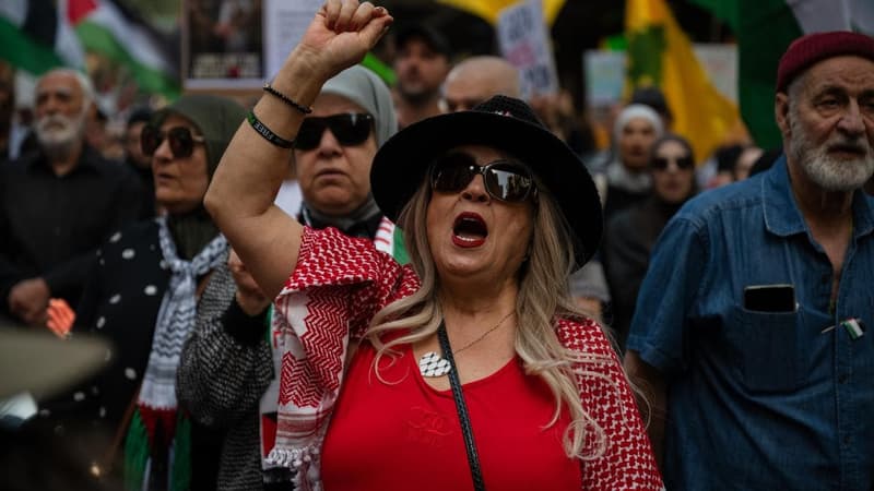 Thousands rally nationwide for global Gaza protests