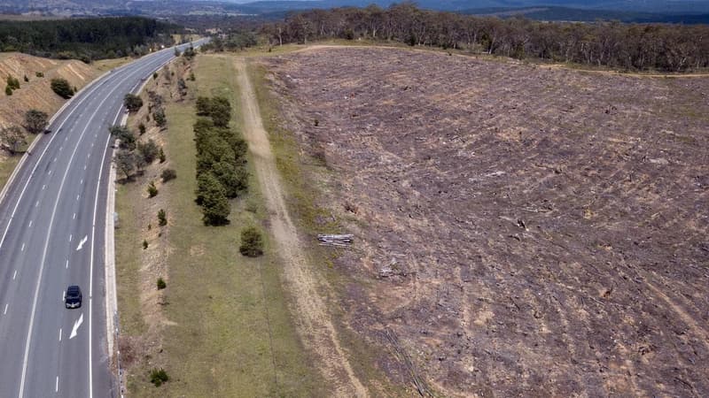 Big bank rejects push to end financing of land clearing