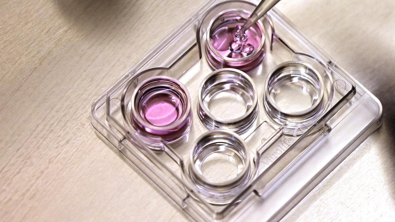Prisoner's landmark egg freezing win in High Court