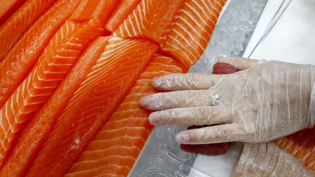 Warming seas threaten billion-dollar salmon industry