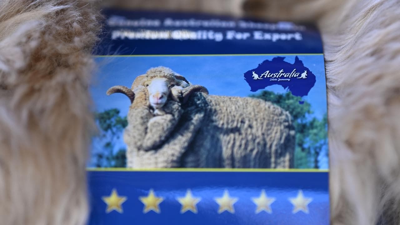 Farm gate to plate: push for better sheep traceability