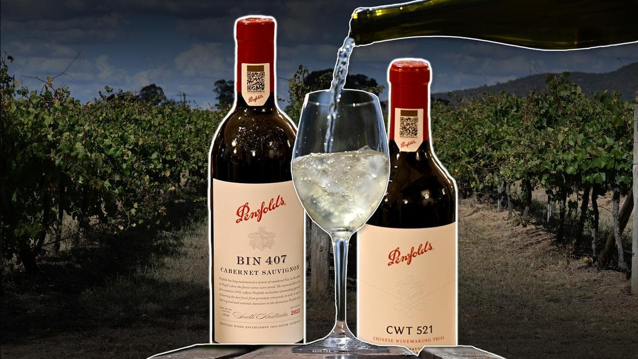 Penfolds owner in no rush to sell discount labels
