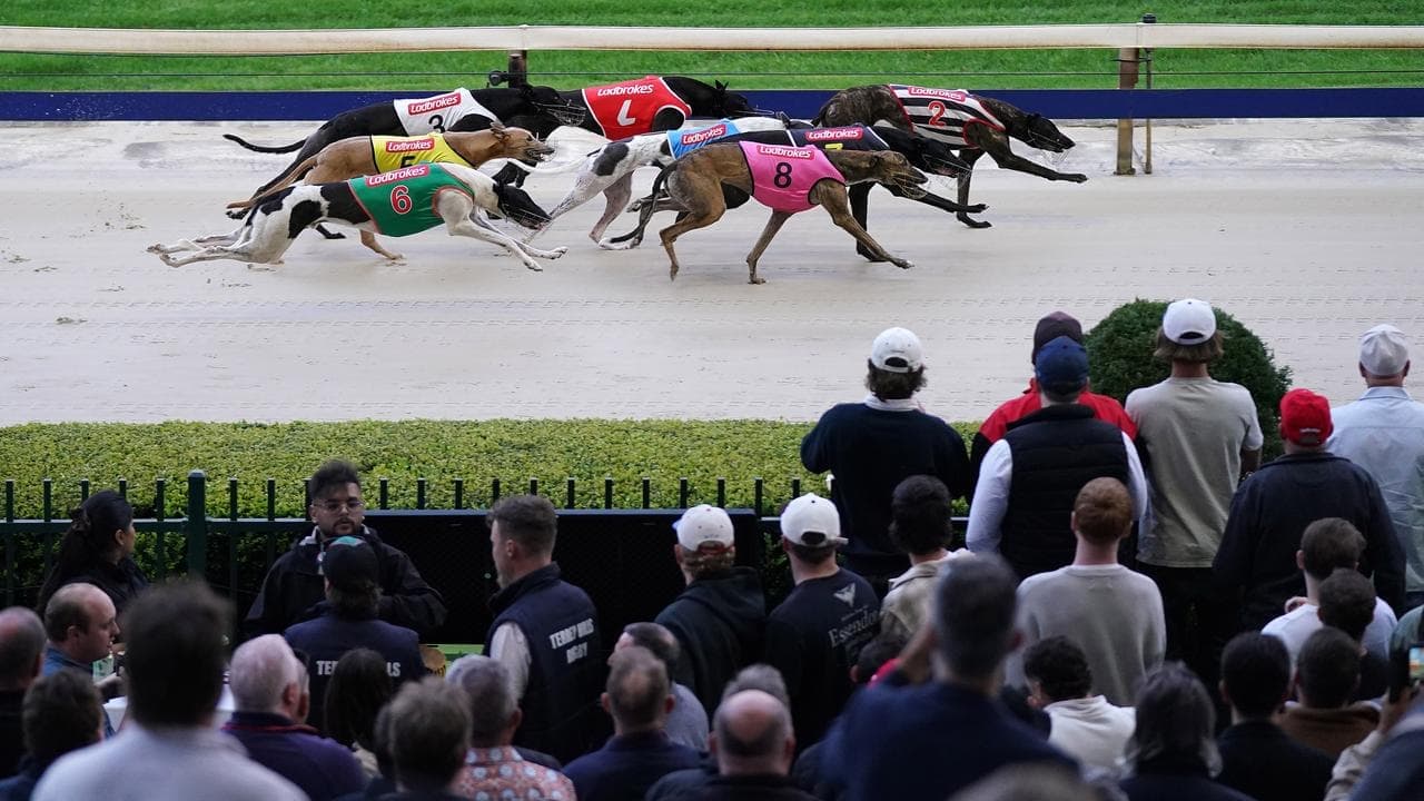 Gone to the dogs: thousands on track for final farewell
