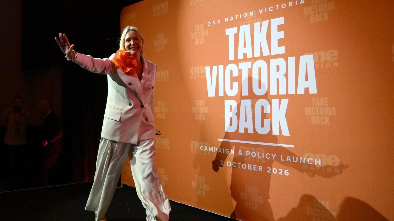 One Nation pitches pro-family policy amid abortion stir