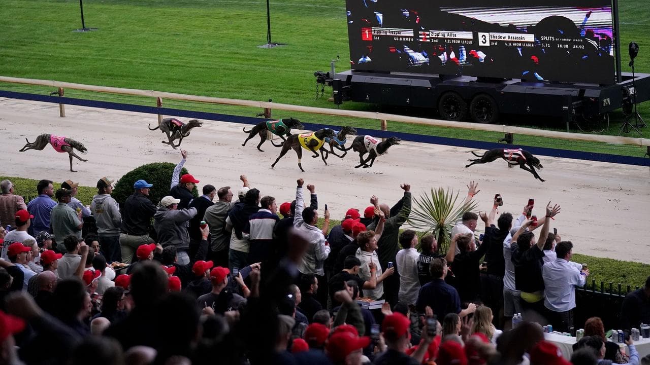 'A special buzz': fans farewell racing at dog track