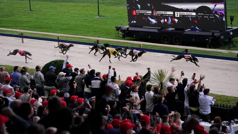 'A special buzz': fans farewell racing at dog track