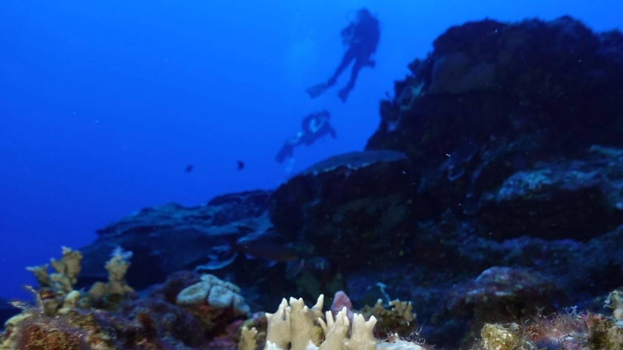 Ill winds: calm weather puts Great Barrier Reef at risk