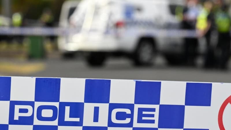 'Frightening': dog attack victim faces long recovery