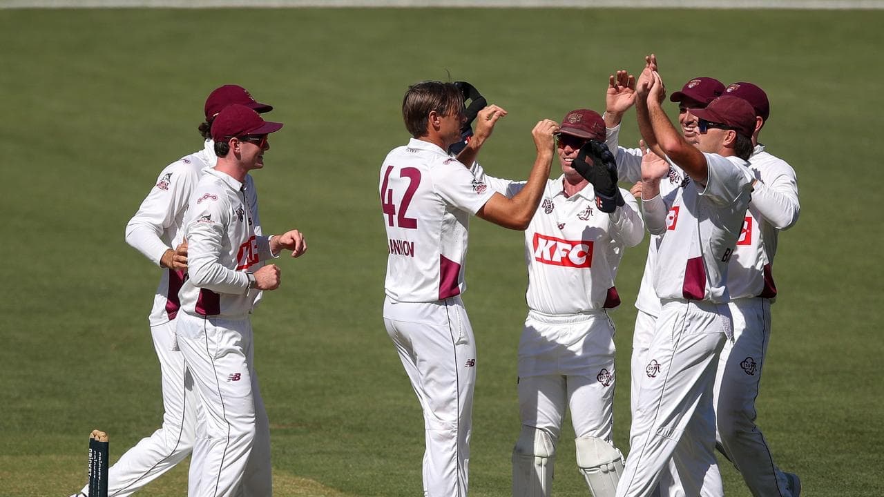 Queensland survive early fright to down SA in Shield