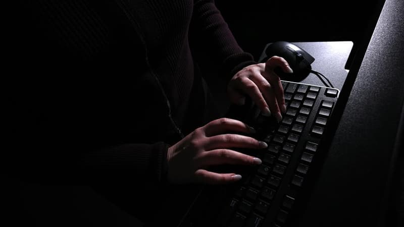 Government cybersecurity website hit in global flaw
