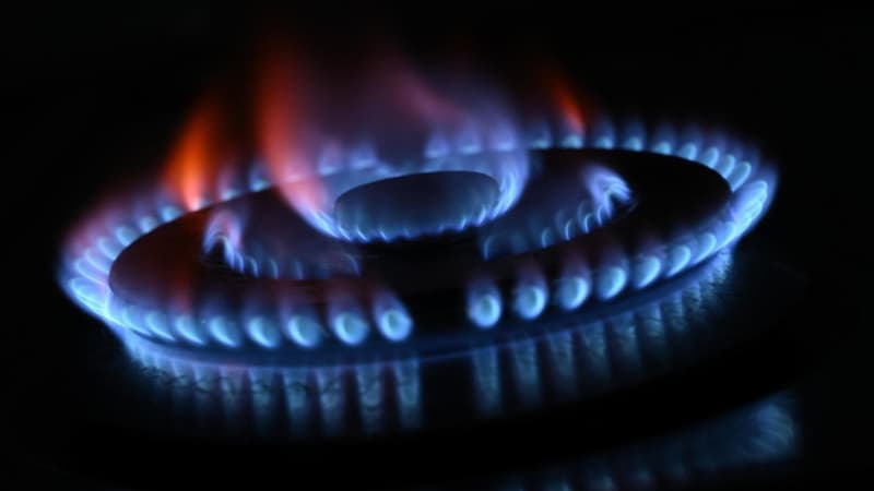 'Gas or starvation': infrastructure boss backs projects