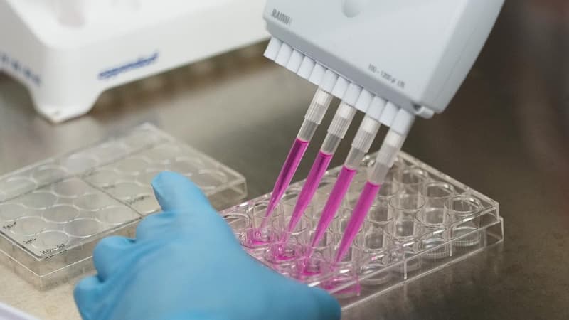 Cancer vaccine cuts melanoma death risk by 42 per cent