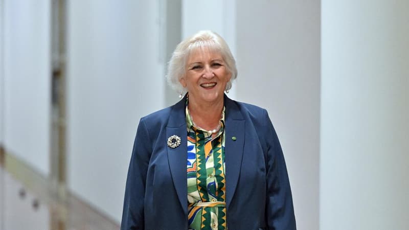 Door opens for Nationals leader's lower house move