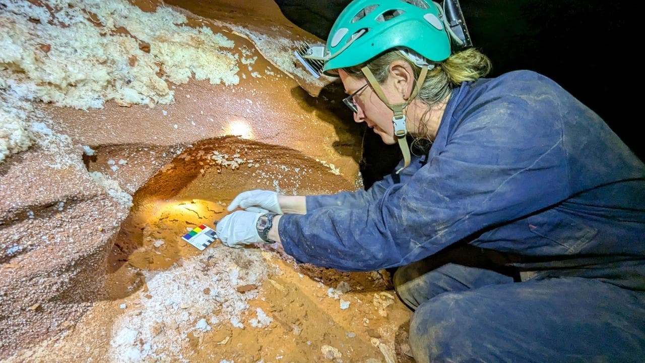 'Living dinosaur' relics found in ancient desert caves