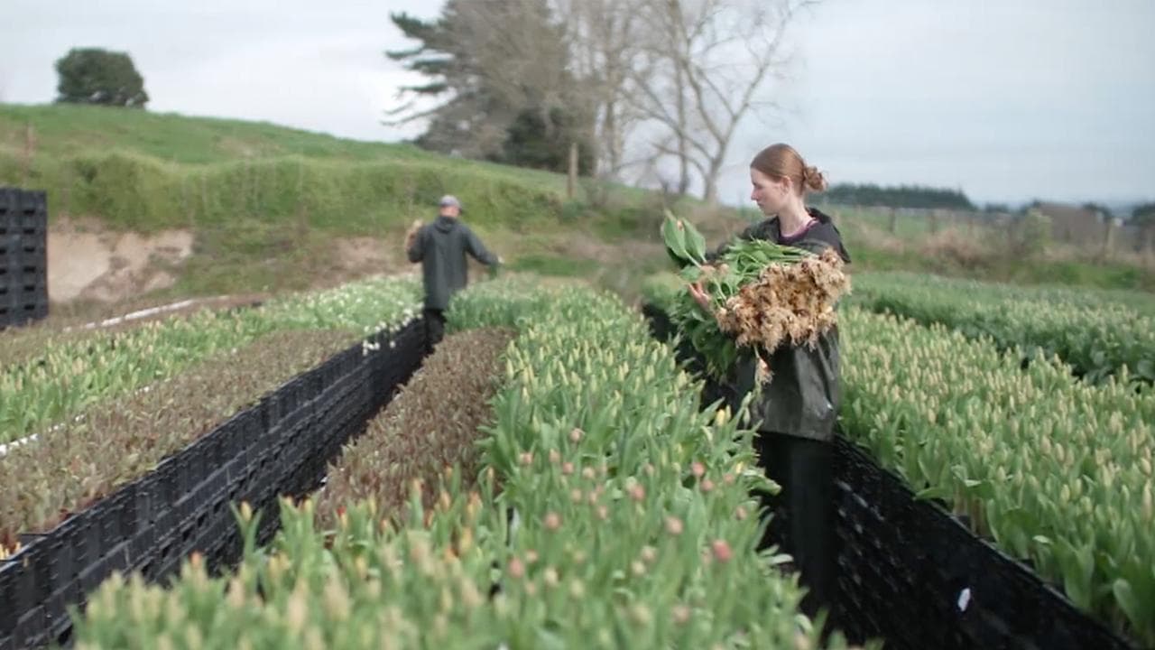 Flower farmers' daughter takes on blooming rubbish