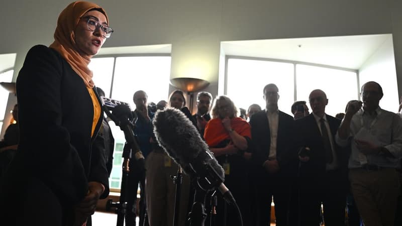 Labor defector slams PM for snubbing extra staff plea
