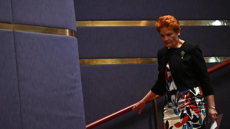 Foreign disinformation operators fake Pauline Hanson health scare