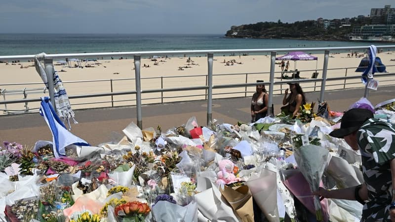 Image via aapnews.aap.com.au
