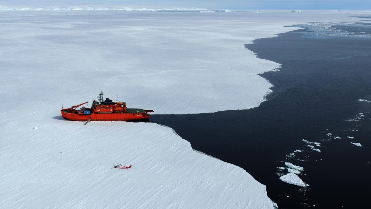 'Never seen': sea ice loss triggers big ocean change