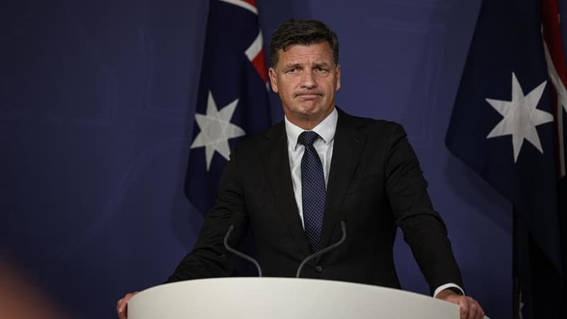 Disinformation pages fabricate Angus Taylor "go back to your country" quote
