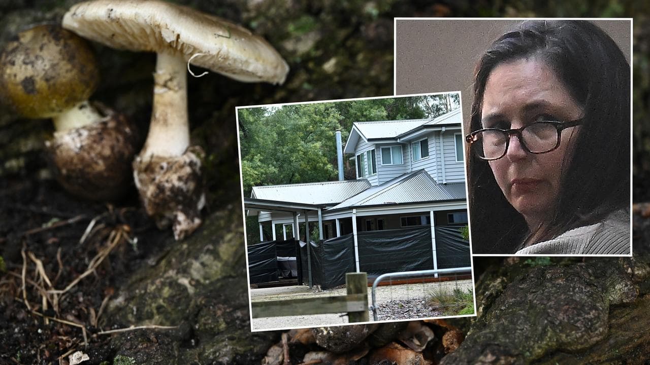 Six ways mushroom killer's appeal could turn out