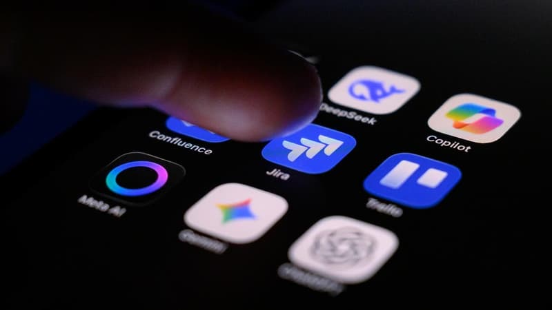 AI inquiry prompts public for questions and answers