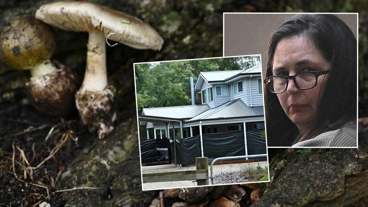 'Cruel' mushroom killer in rare air as key thrown away
