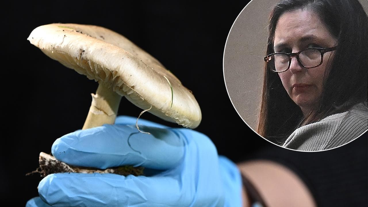 Mushroom killer loses parole chance after failed appeal