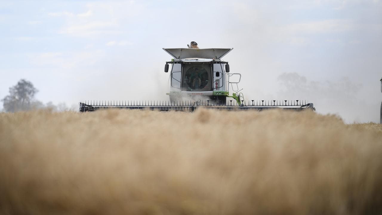 'Serious harm': all eyes on Australia over toxic spray