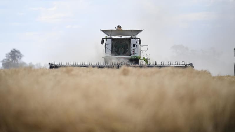 'Serious harm': all eyes on Australia over toxic spray