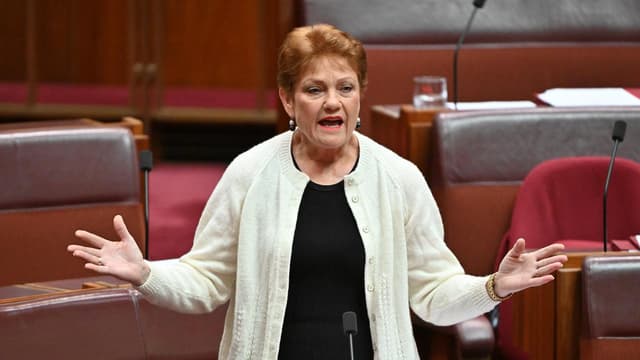 Pauline Hanson denies Pakistan tweet was 'racist'