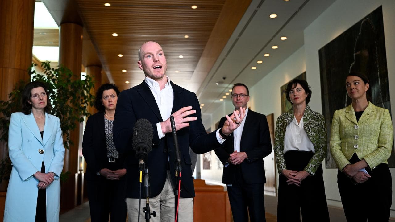 Pressure for national ban on logging native forests