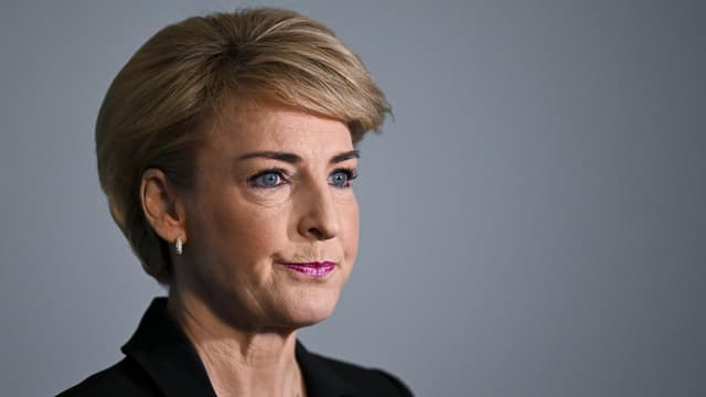 Opposition attacks 'flimsy' Labor defence over Higgins