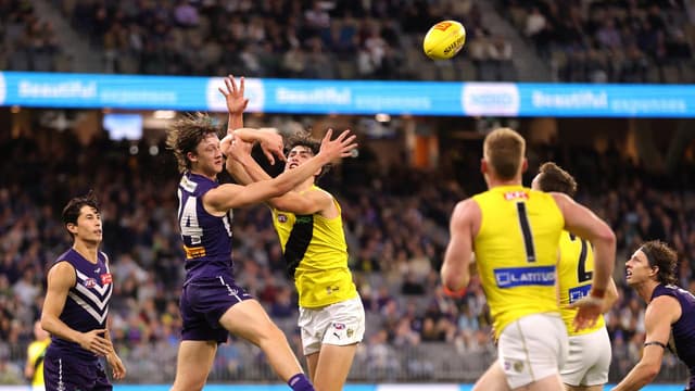 AFL gives green light to Dockers-Tigers goal review