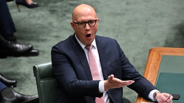 MPs accused of harming women over Higgins discourse