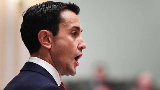 LNP attacks consultants, vows public service changes