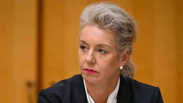 Gallagher has questions to answer on Higgins: McKenzie