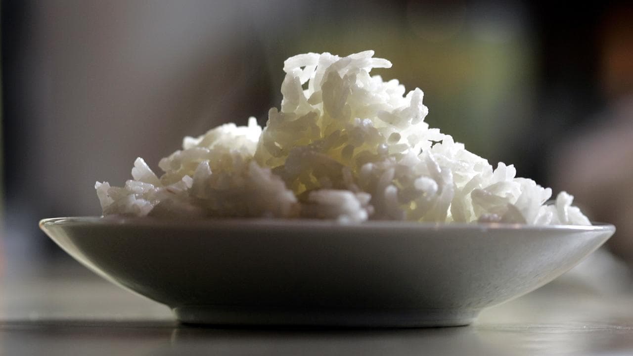 Rice research may help shore-up global food supplies