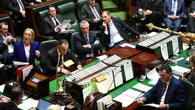 Vic premier refuses to apologise for 'halfwit' jibe