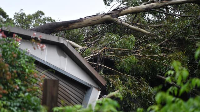 Lack of household emergency plan puts millions at risk