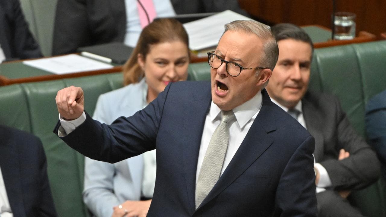 Albanese on attack over Greens 'politicising poverty'