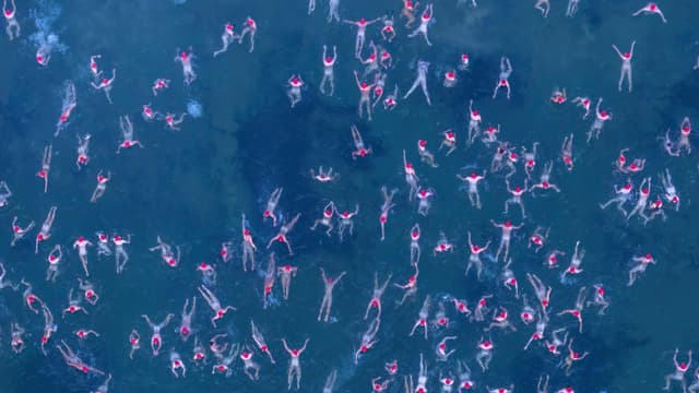 Hobart festivalgoers, Antarctic crew take icy dip