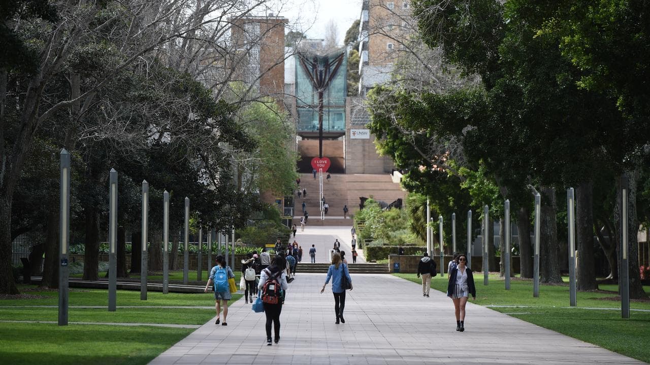 Education programs 'undermined' by lack of assessment