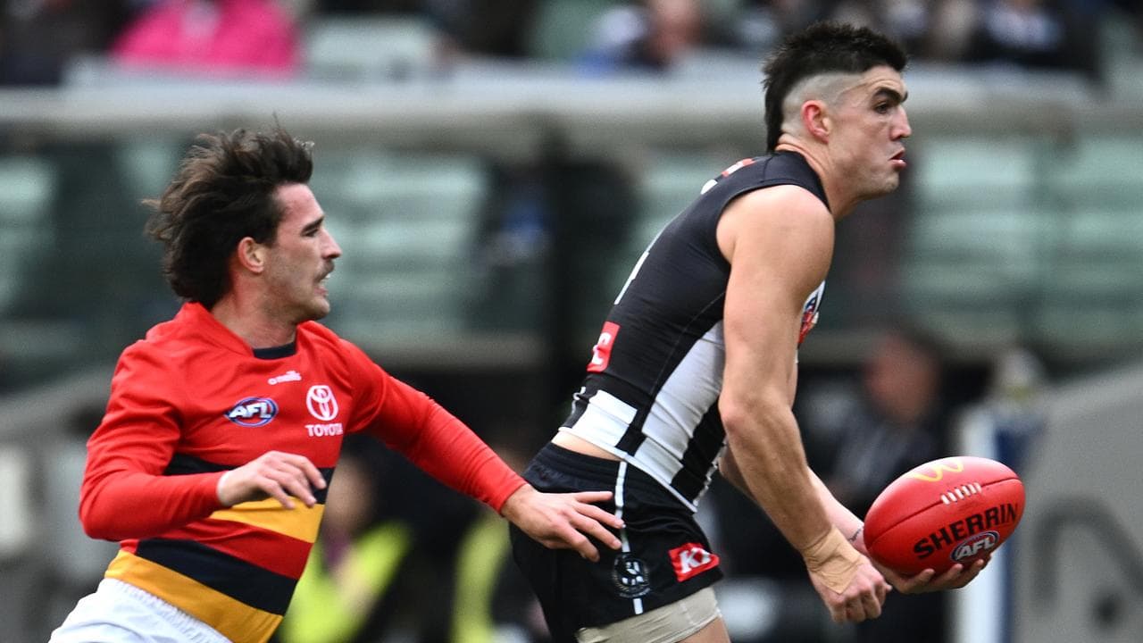Maynard joins Mihocek on Collingwood casualty list