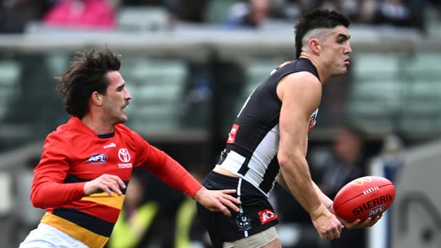 Maynard joins Mihocek on Collingwood casualty list
