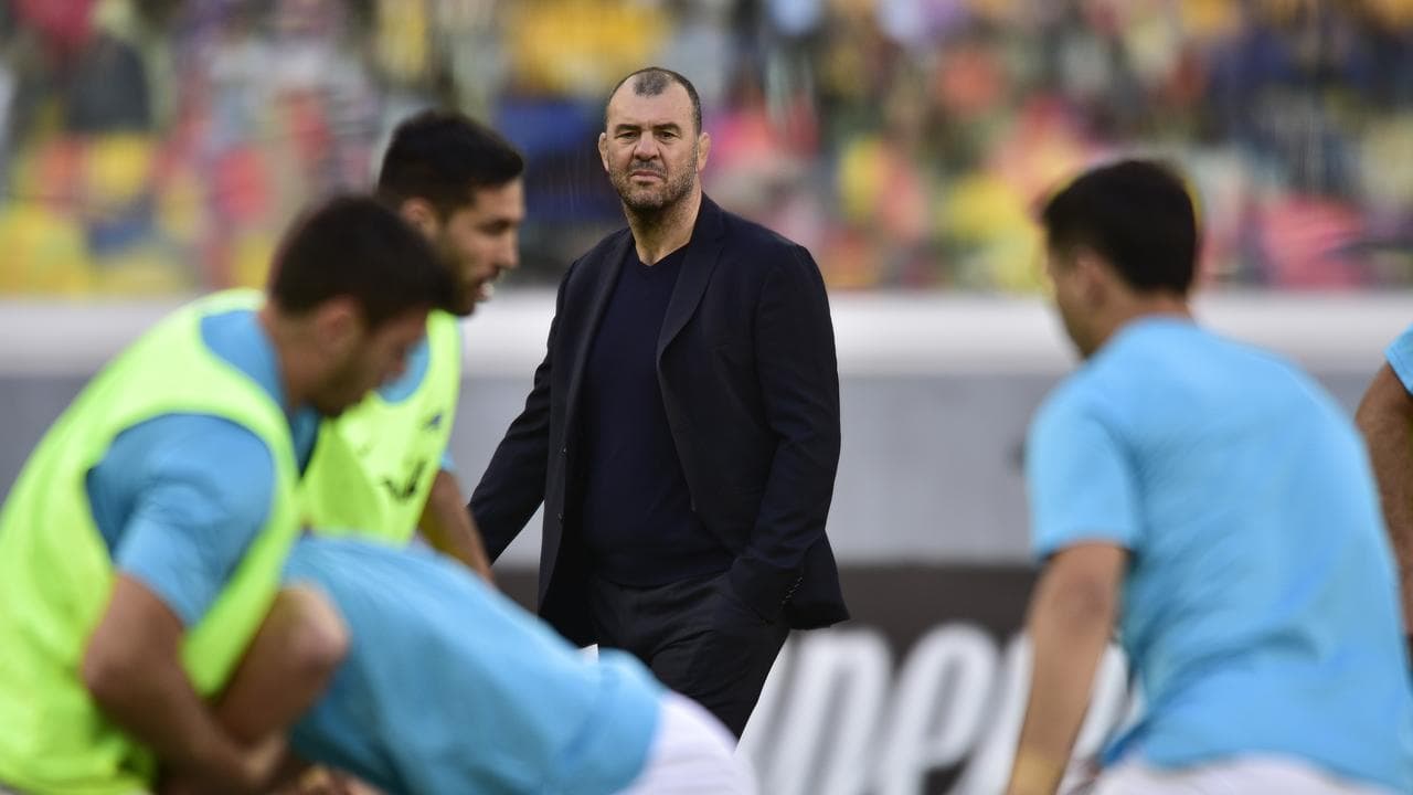Ex-Wallabies coach Cheika plotting Australia's downfall